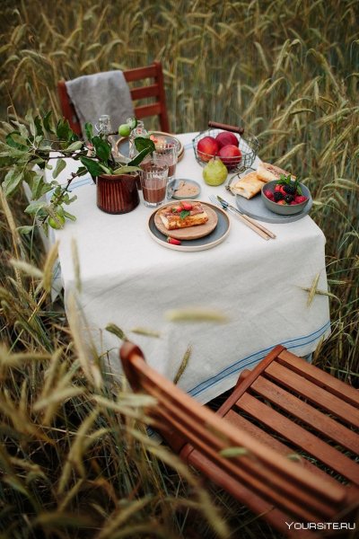 Завтрак на природе