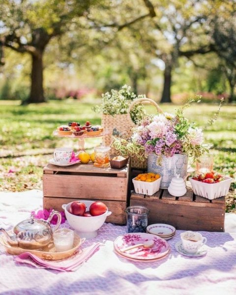 Завтрак на природе