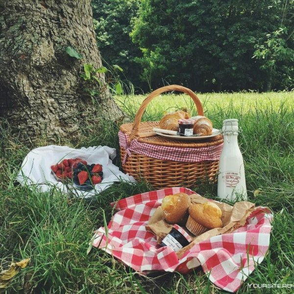 Пикник на природе