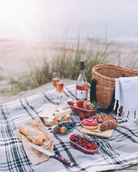 Пикник на природе