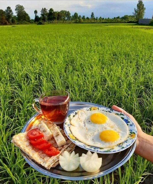 Завтрак на природе летом