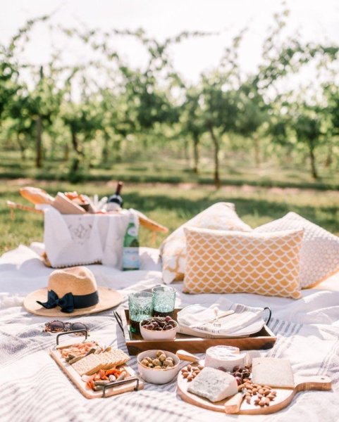 Пикник Пинтерест