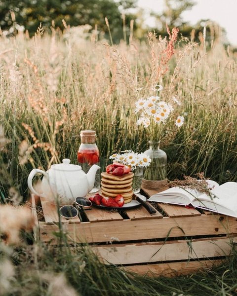 Пикник с кофе