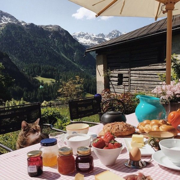 Завтрак на природе