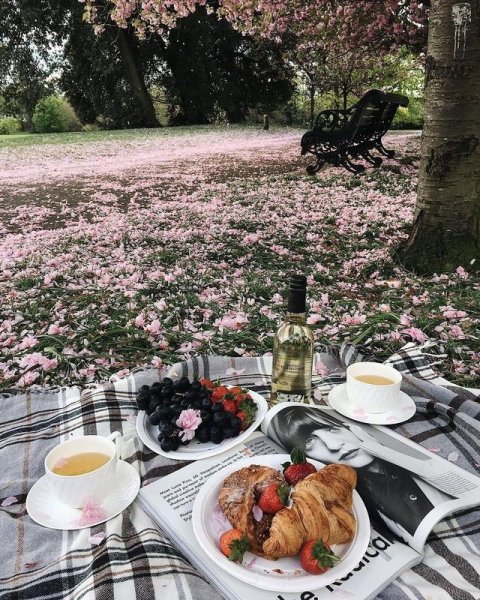 Пикник пинтерес