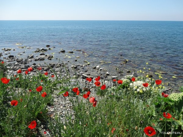 Черное море Анапа набережная