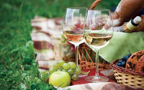 Вино на природе