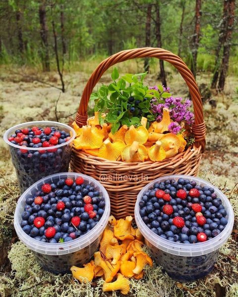 Корзиночка Грибное лукошко