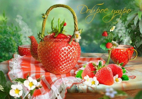 Доброе утро четверга