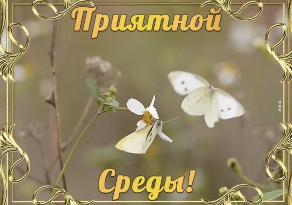 Открытки лето