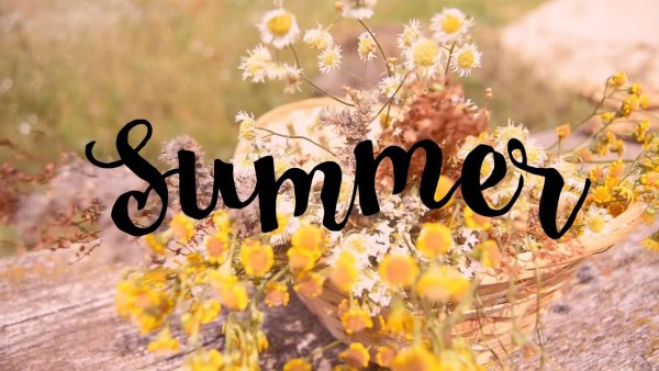 Картинки привет лето на рабочий стол