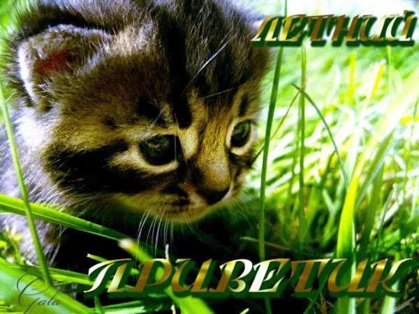 Июль картинки с надписями