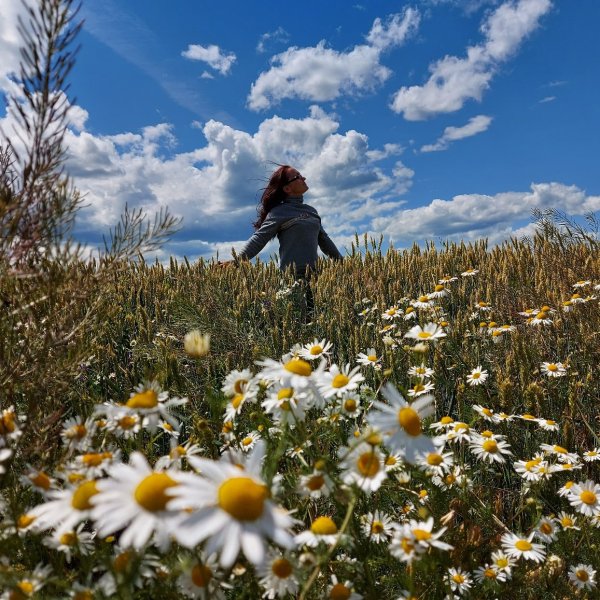 Лето снаружи лето внутри