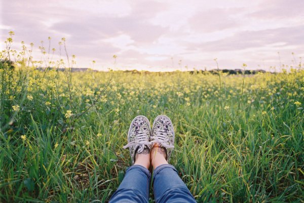 Лето в бокале