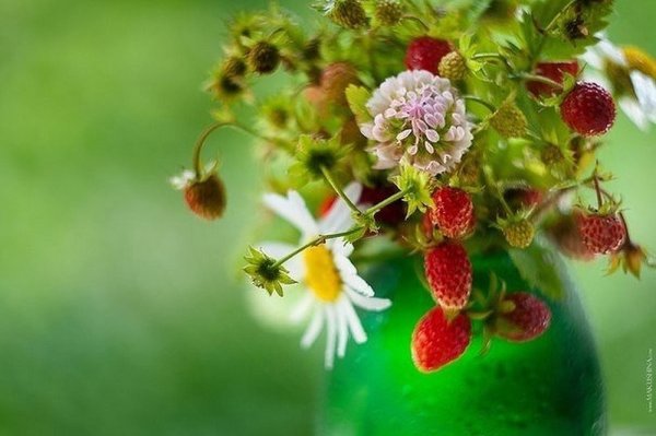 Лето снаружи