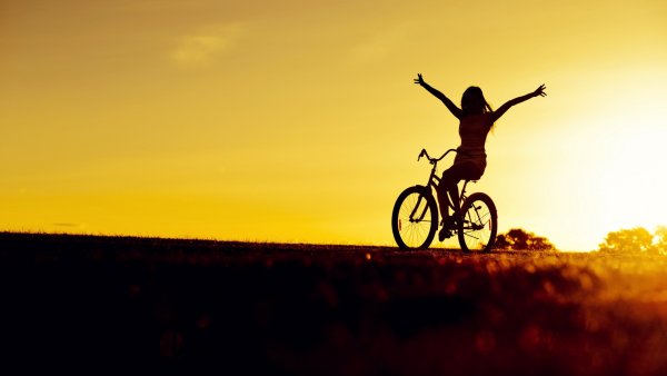 Лето внутри