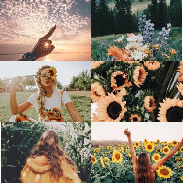 Нармин Бабаева