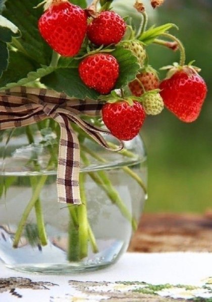 Просветленный Бали