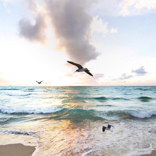 Hello Summer надпись