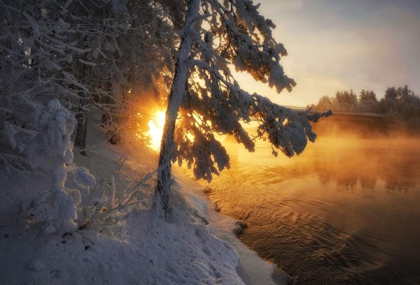 Морозное утро солнце