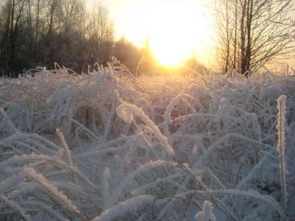 Утро зимой