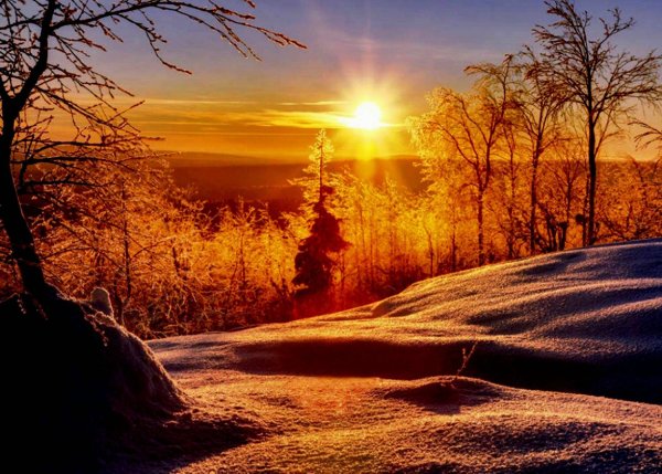 Солнце зимой