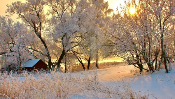 Февральский пейзаж