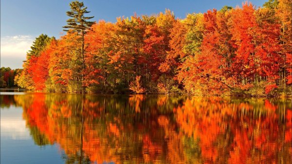 Краски осени