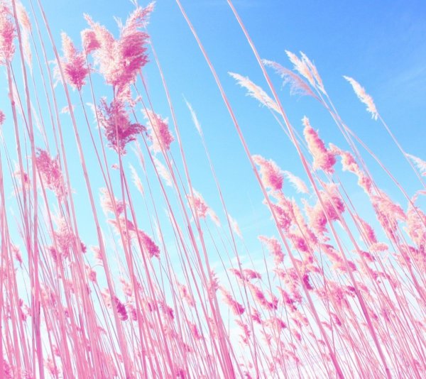 Зонт пастельные цвета