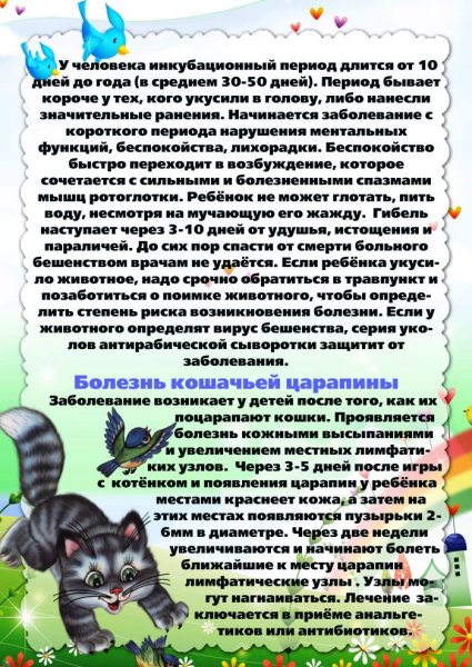 Лето красное лето безопасное