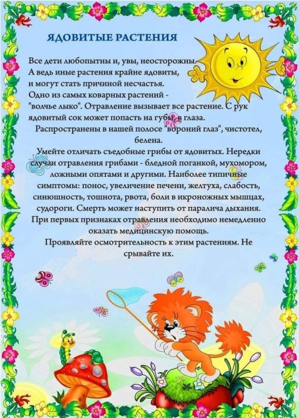 Лето красное лето безопасное