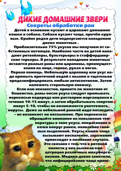 Консультации для родителей в старшей