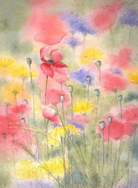 Акварели Луизы Вильсон