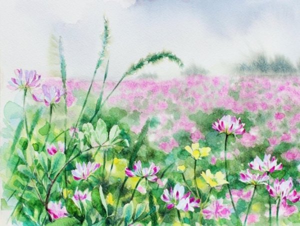 Художницы Yu Hoshino