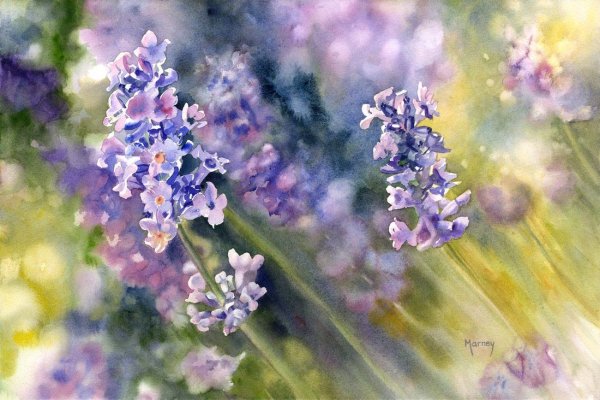 Marney Ward канадская художница