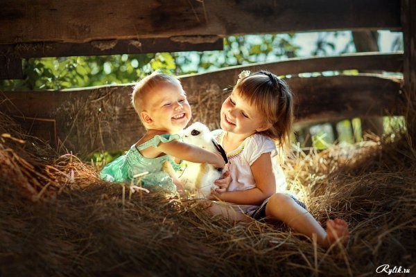 Малыши. В деревне