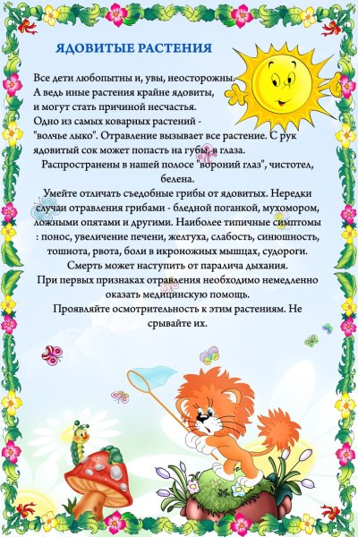 Лето в детском саду