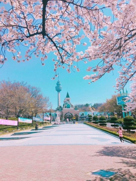 Корея город тэгу парк