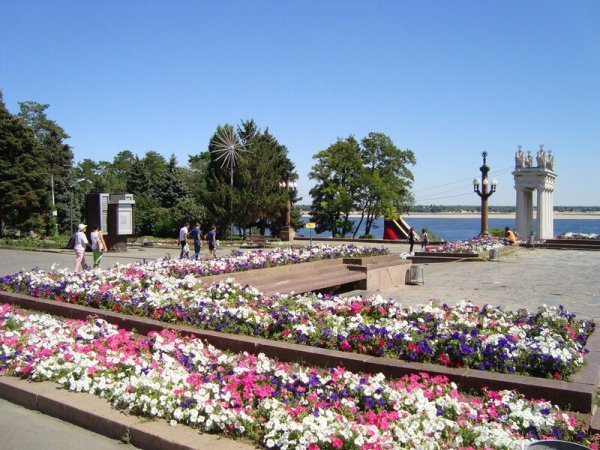 Природа в городе Волгограде