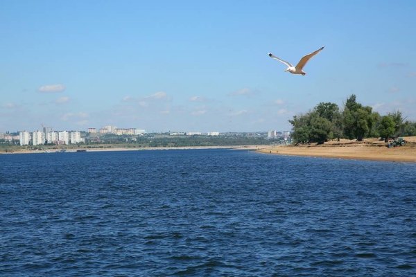 Берег Волги Волгоград