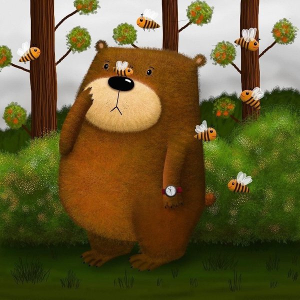 Медведь серый