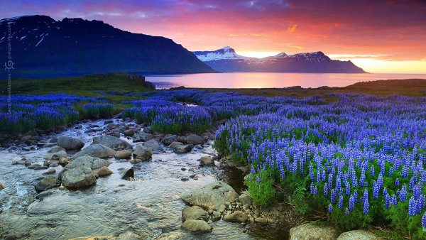 Исландия природа летом