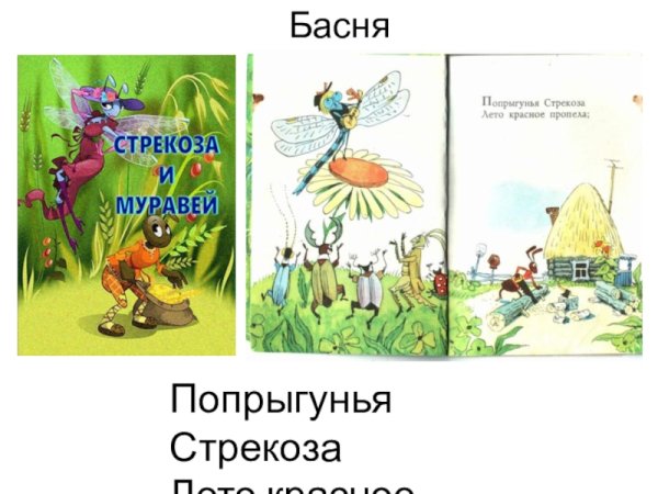 Басня Крылова лето красное пропела
