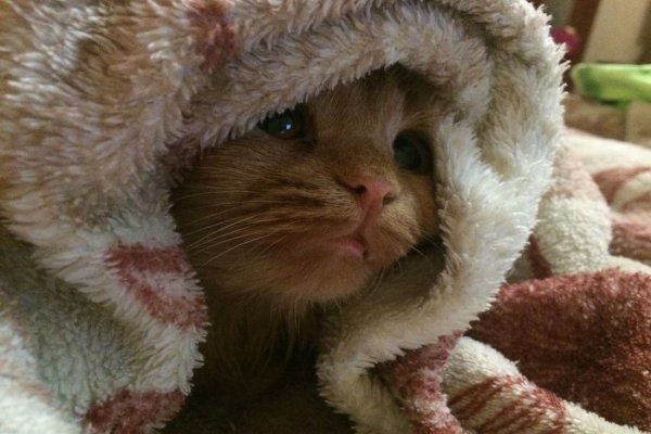 Девушка в холодной воде