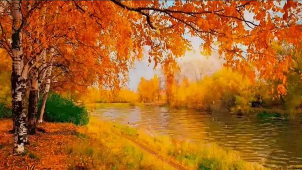 Белый день бабье лето