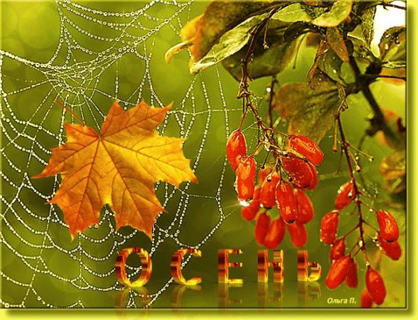 Открытки бабьего лета