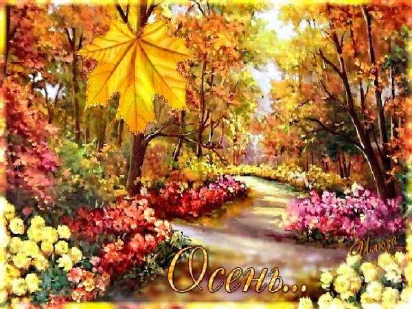 Береза осень