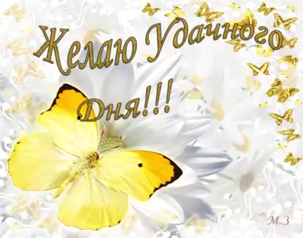 С летом поздравления