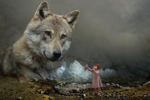 Добрый волк