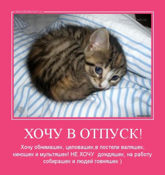 Хочу в отпуск картинки прикольные
